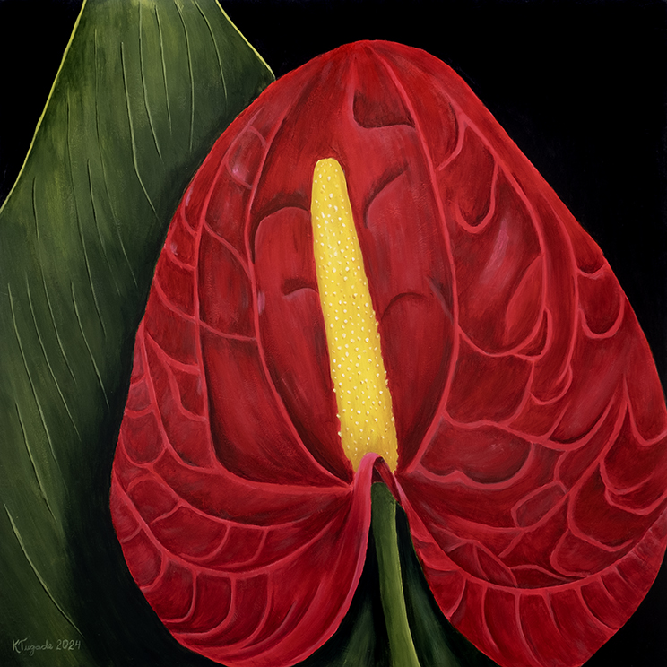 Anthurium, 126