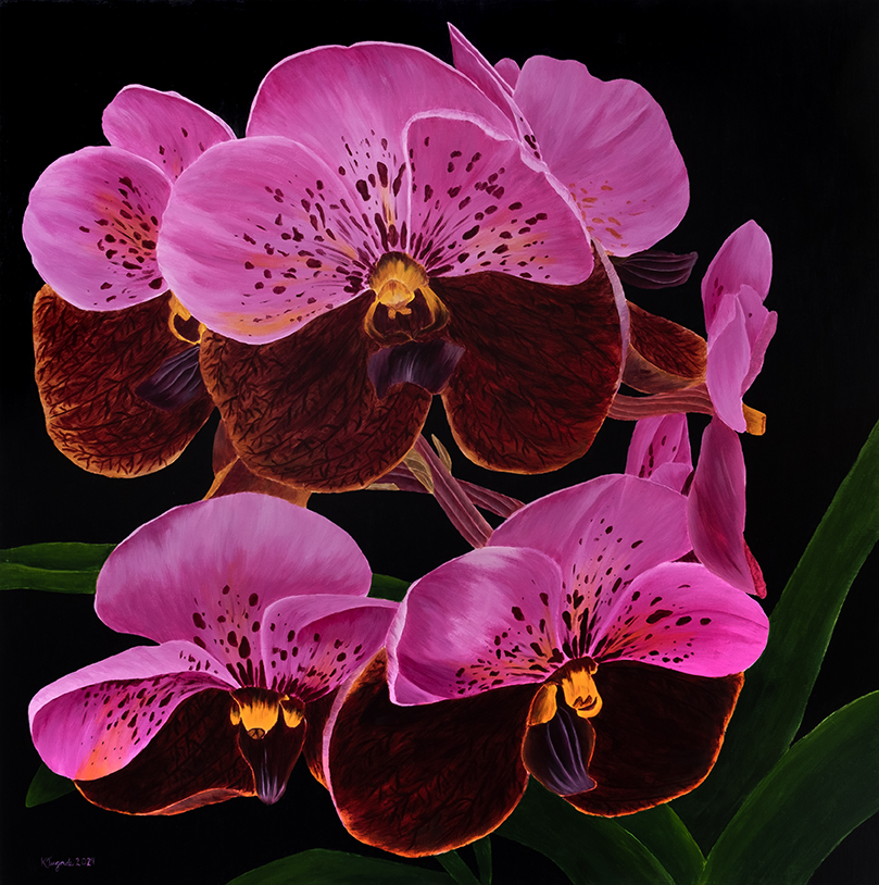 Y. Cymbidium, 126