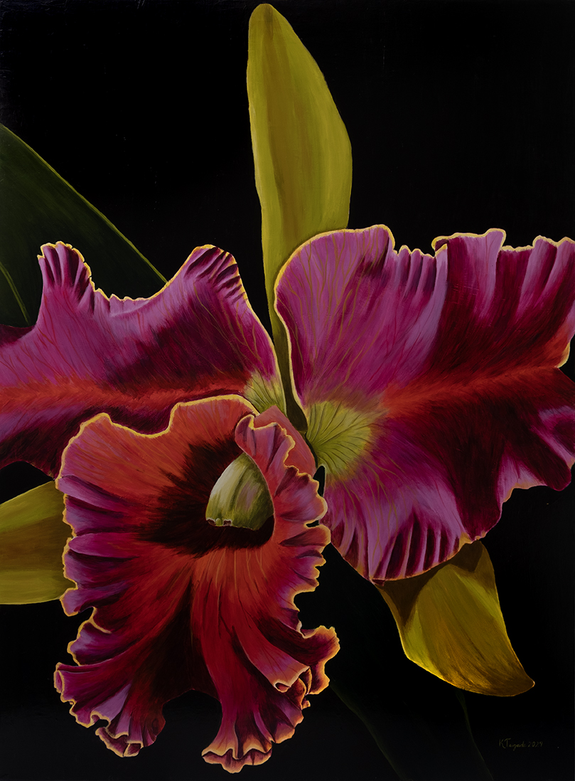 Cattleya, 126