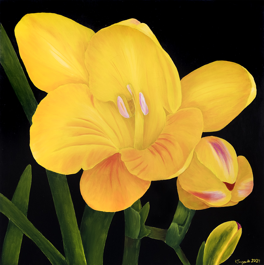 Freesia, 126