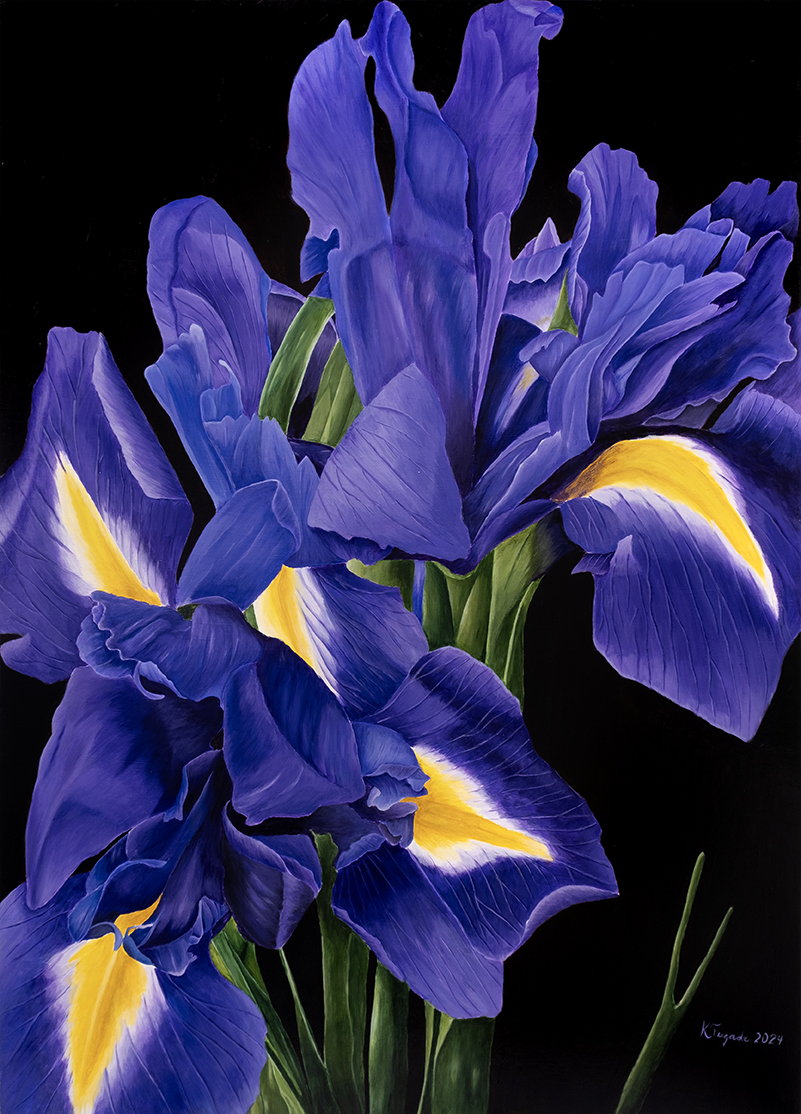 Iris (Major), 126