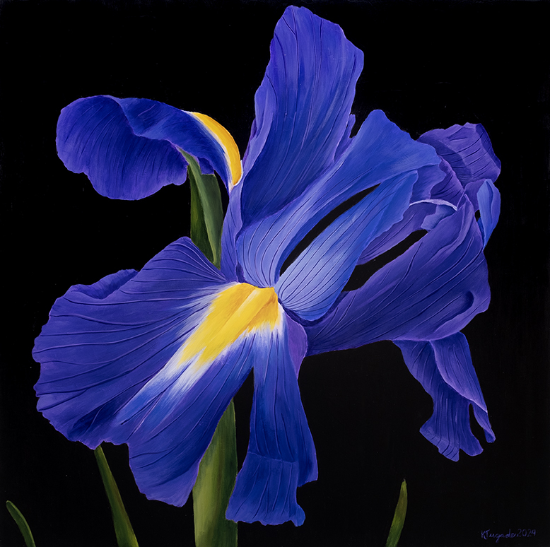 Iris (Minor), 126