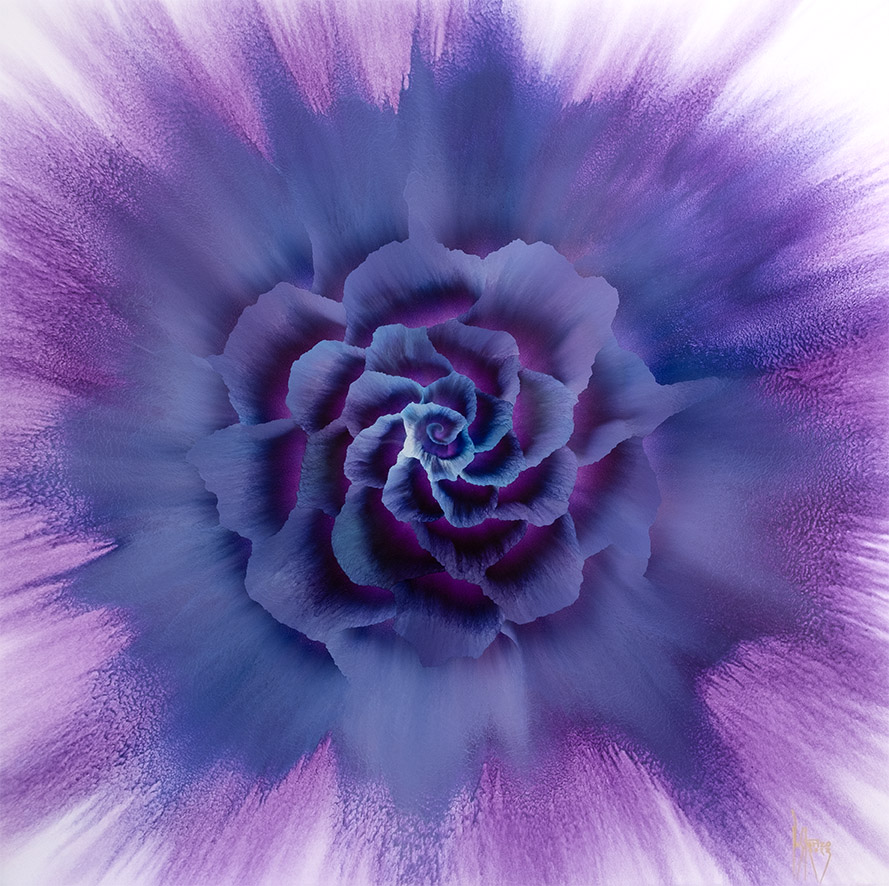 Purple Floral Burst, 82